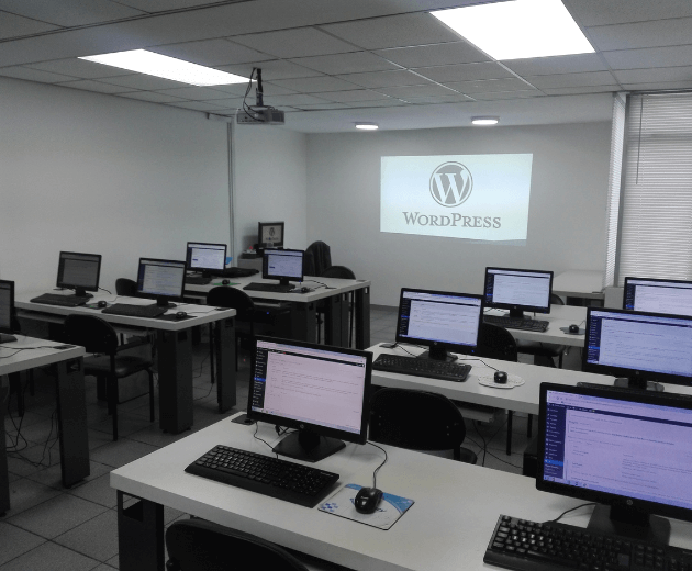 curso seo wordpress